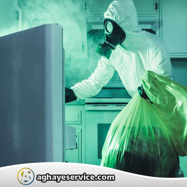 بوی بد یخچال - آقای سرویس