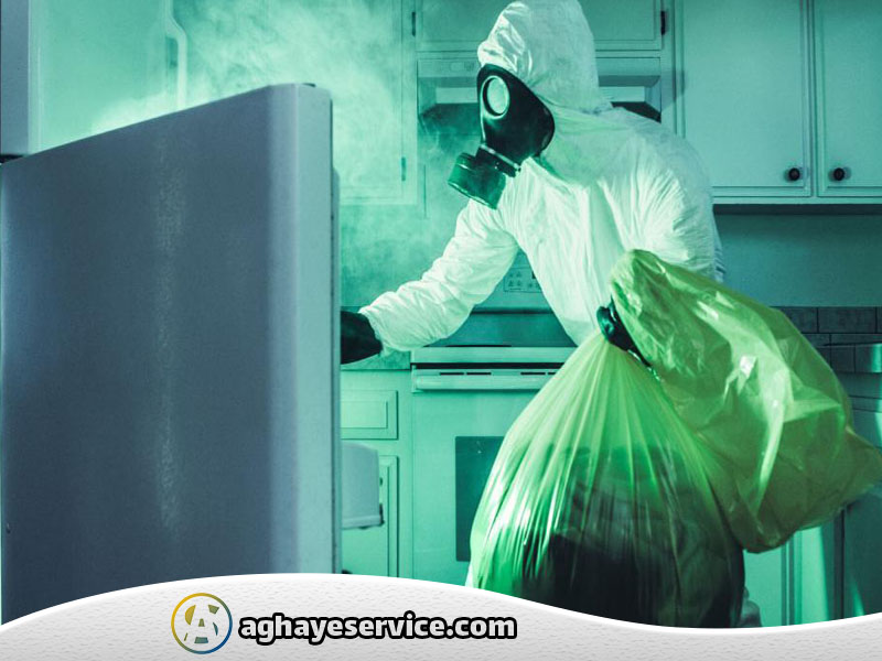 بوی بد یخچال - آقای سرویس