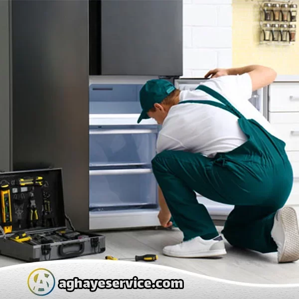 تعمیر یخچال اسنوا در اصفهان