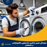 نمایندگی تعمیر ماشین لباسشویی الکترولوکس در اصفهان