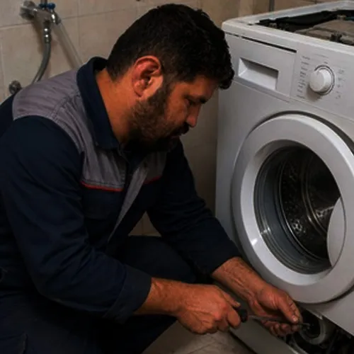 تعمیر لباسشویی در دولت اباد